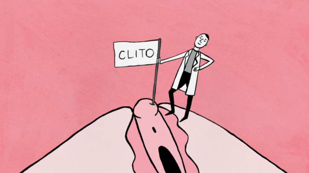 Le clitoris